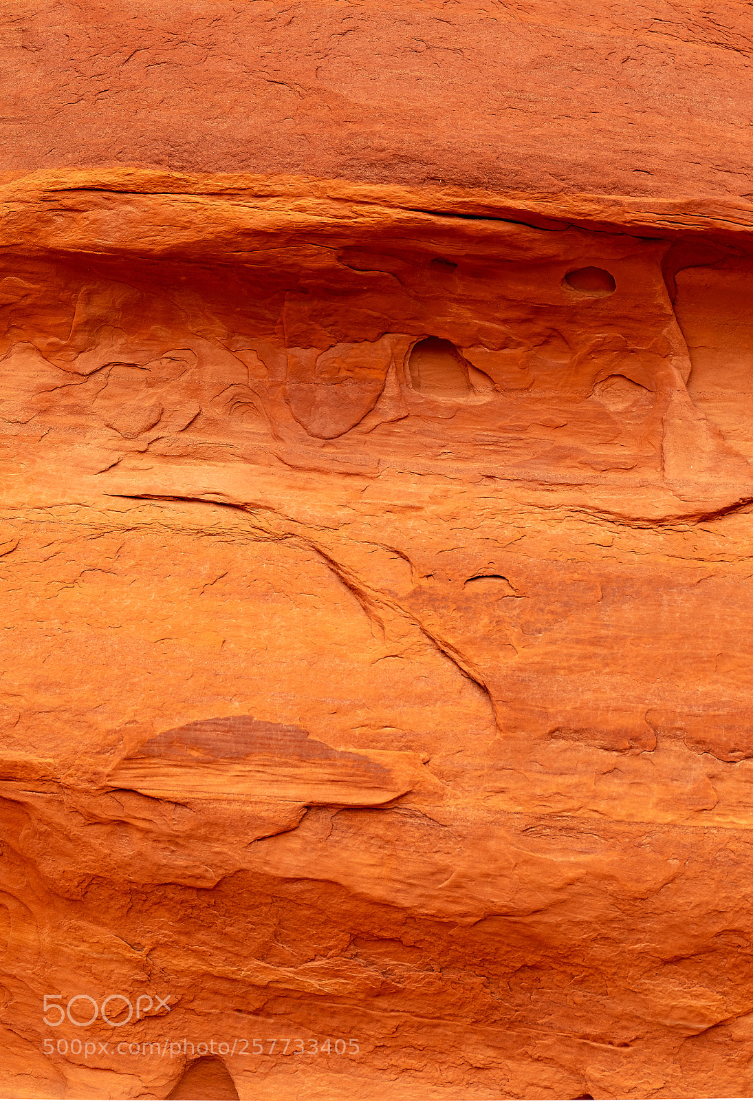Canon EOS 5D Mark IV sample photo. Orange photography