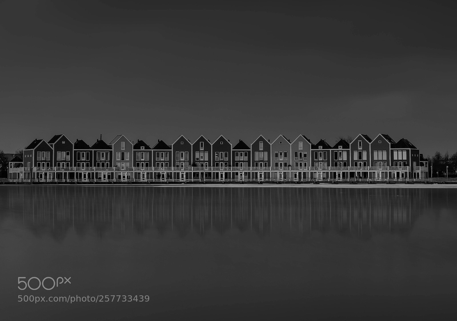 Nikon D810 sample photo. Houten bw photography