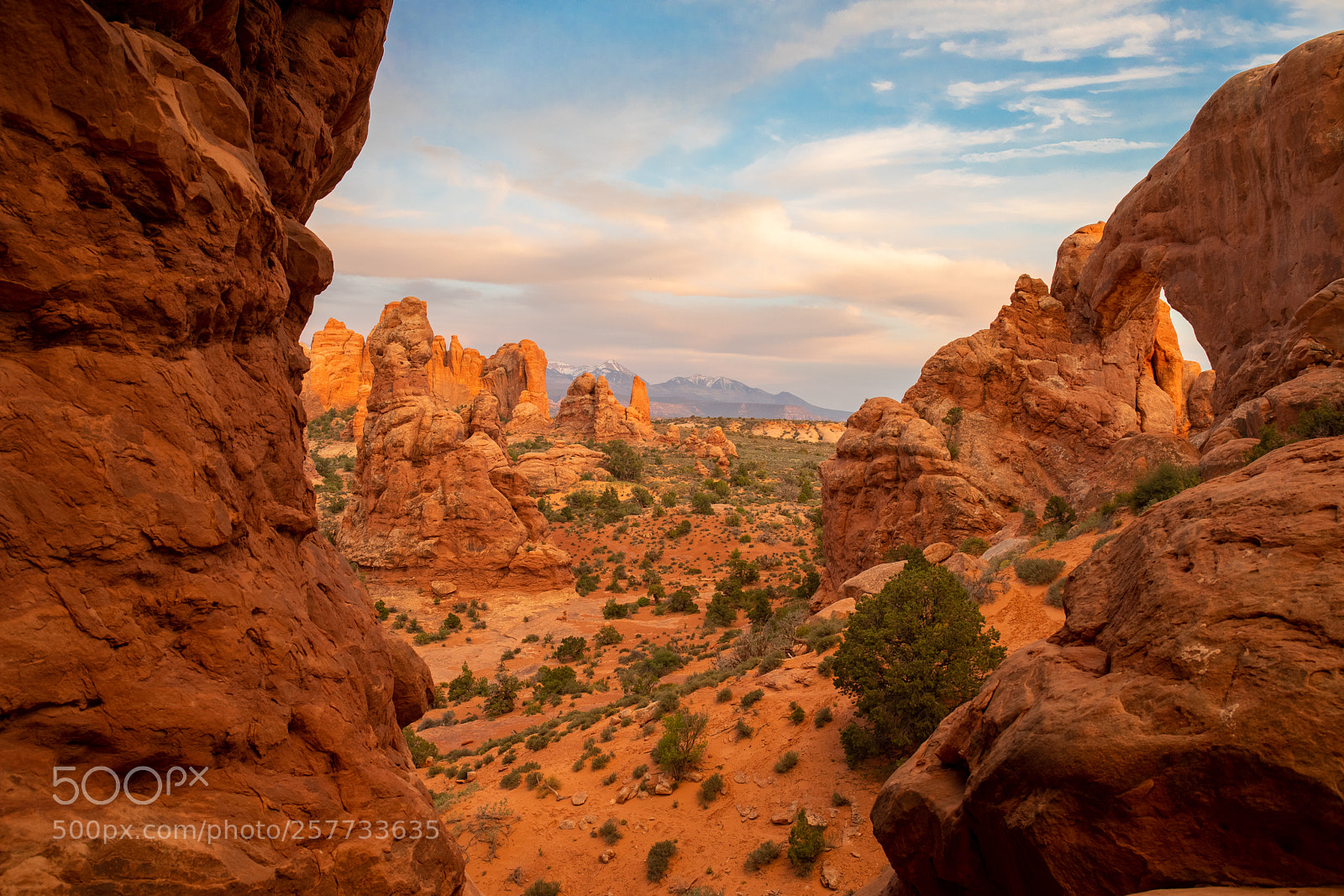 Canon EOS 5D Mark IV sample photo. Alone in the wilderness photography