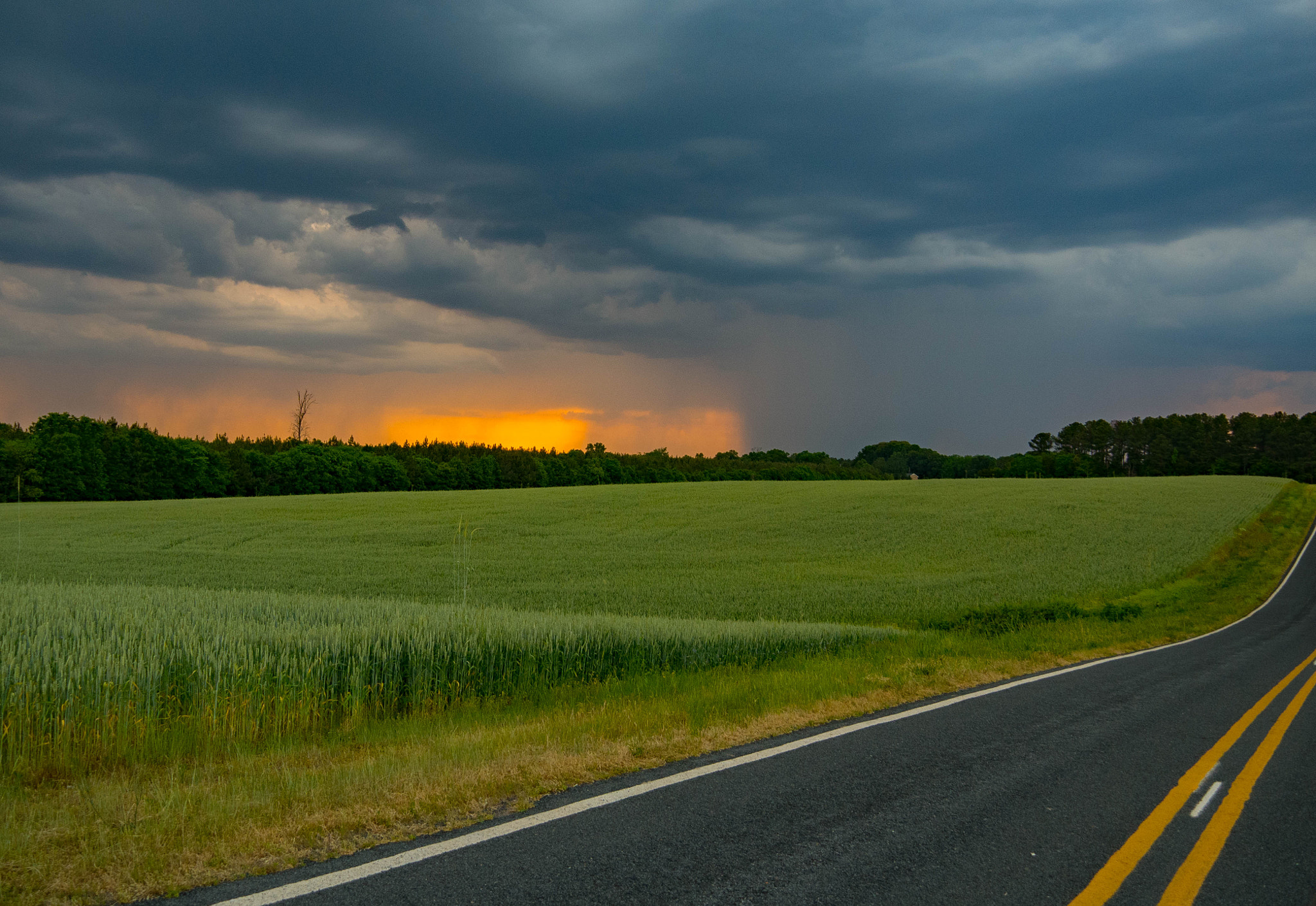 Panasonic Lumix DMC-G85 (Lumix DMC-G80) sample photo. Country road photography