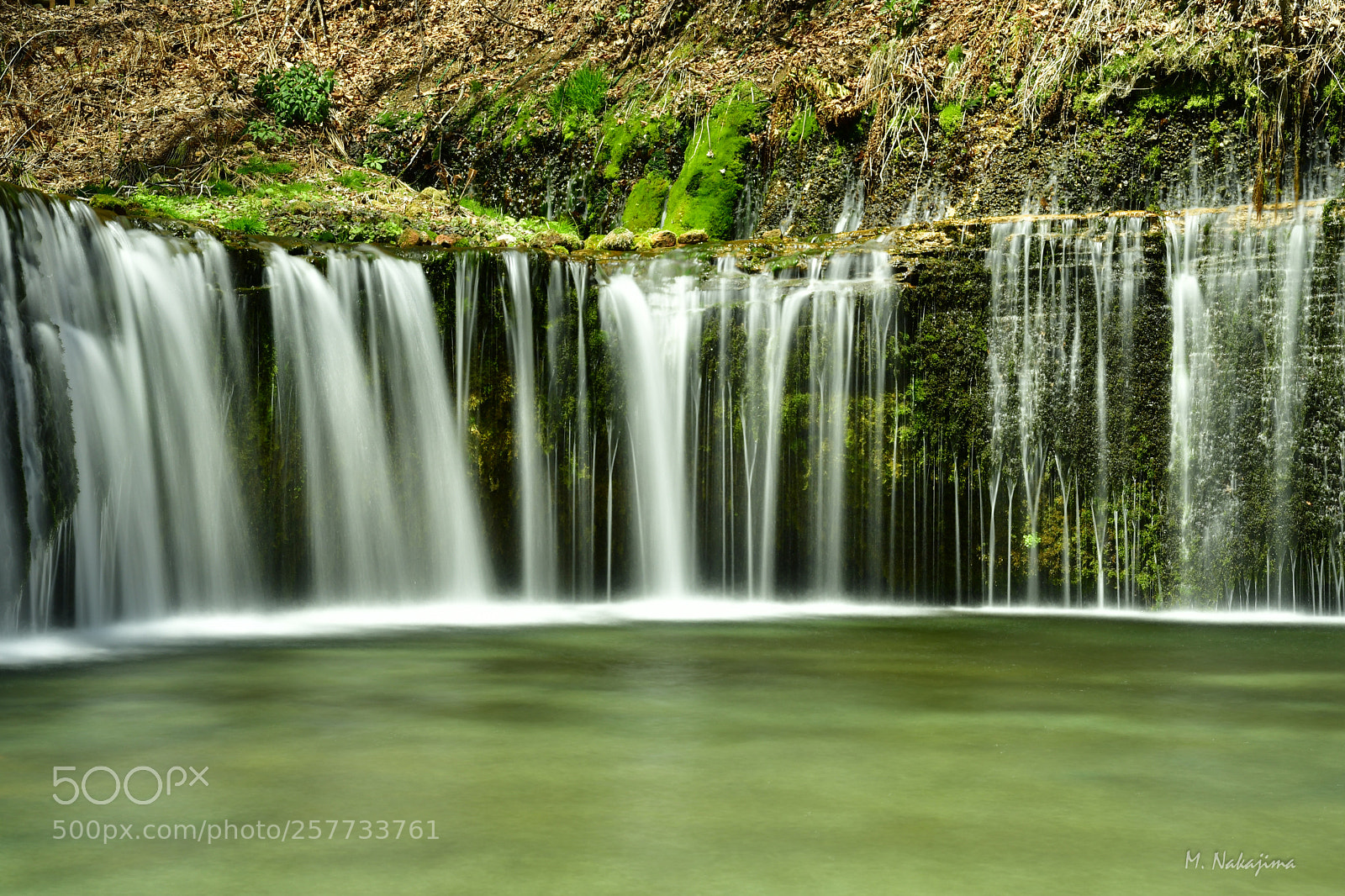 Nikon D500 sample photo. 白糸の滝  ( shiraito falls ) photography