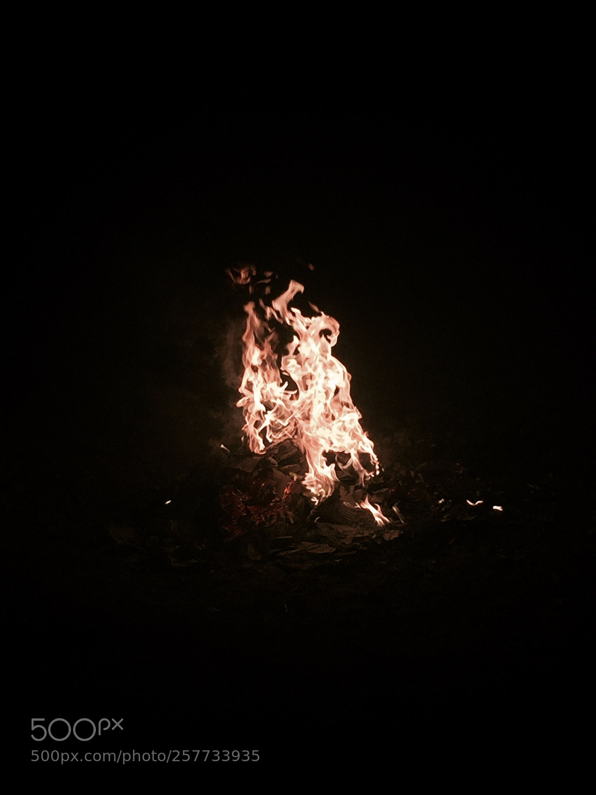 Apple iPhone 6 sample photo. Untitled photography