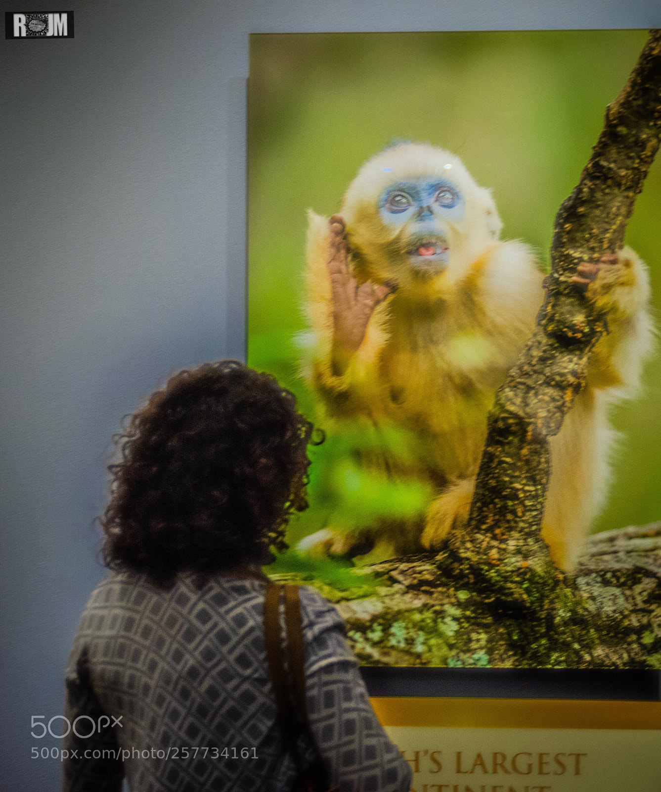 Nikon D7000 sample photo. At the museum photography