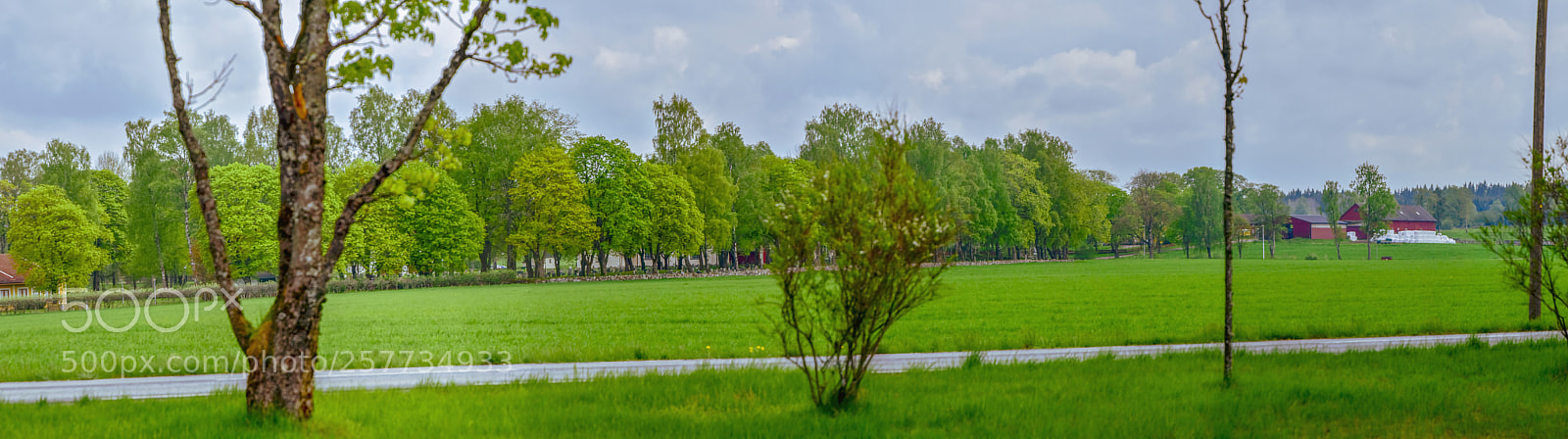 Nikon D5500 sample photo. N sandsjö photography