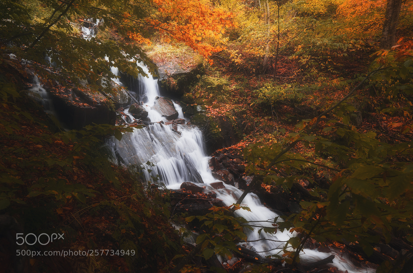 Nikon D7000 sample photo. Autumn river photography