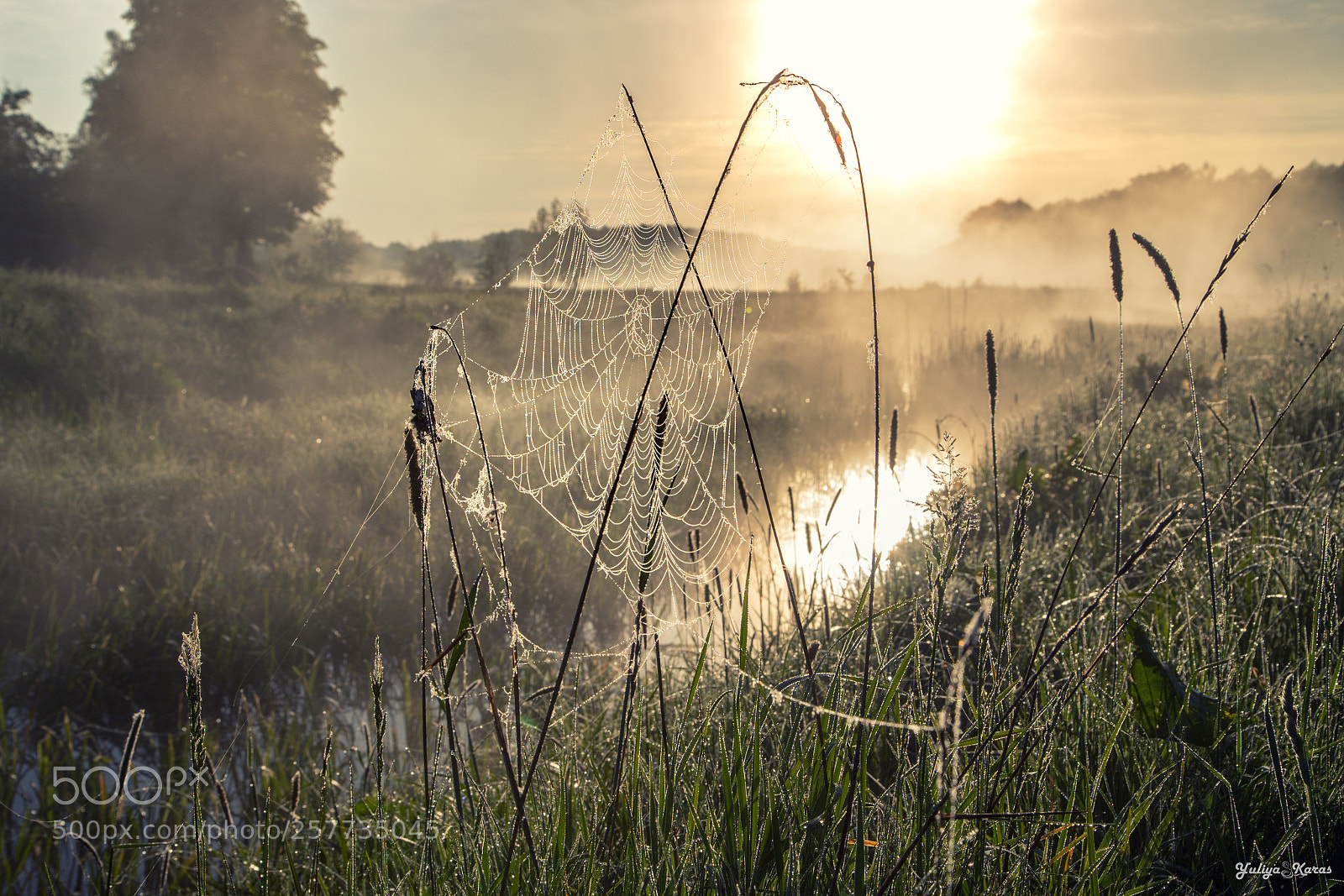Canon EOS 6D sample photo. Dawn on the river photography