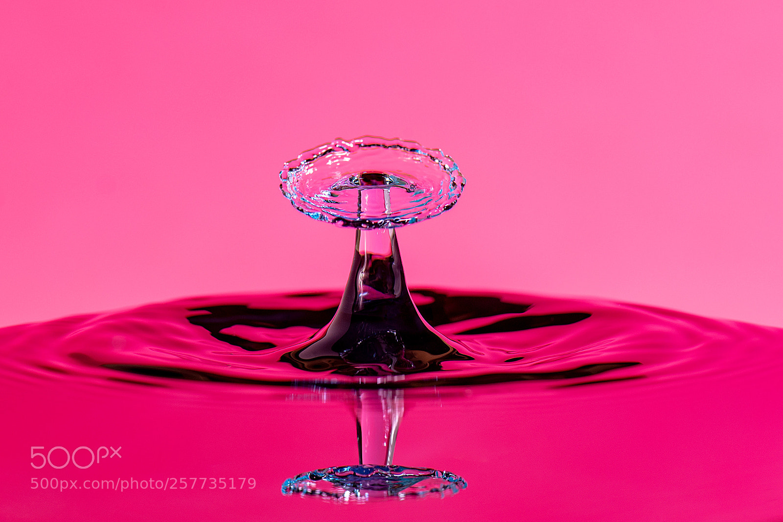 Nikon D850 sample photo. Reflection photography
