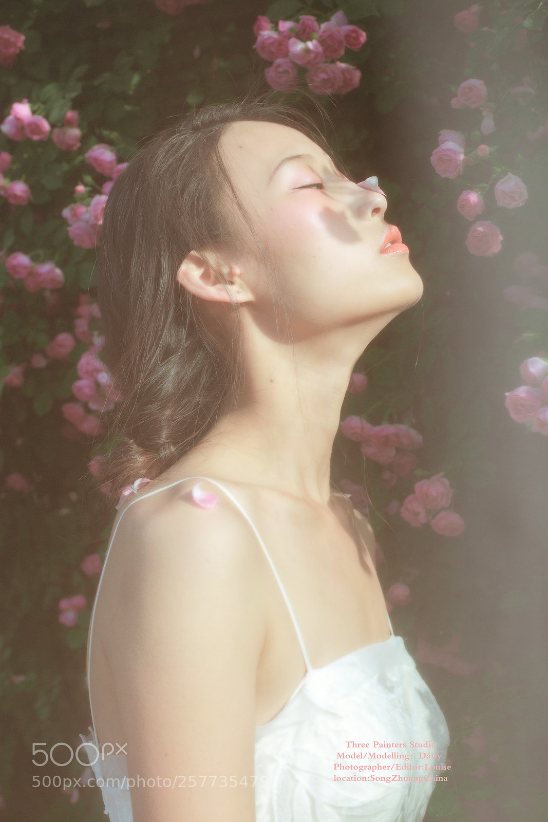Canon EOS 6D sample photo. -花儿的孩子 photography