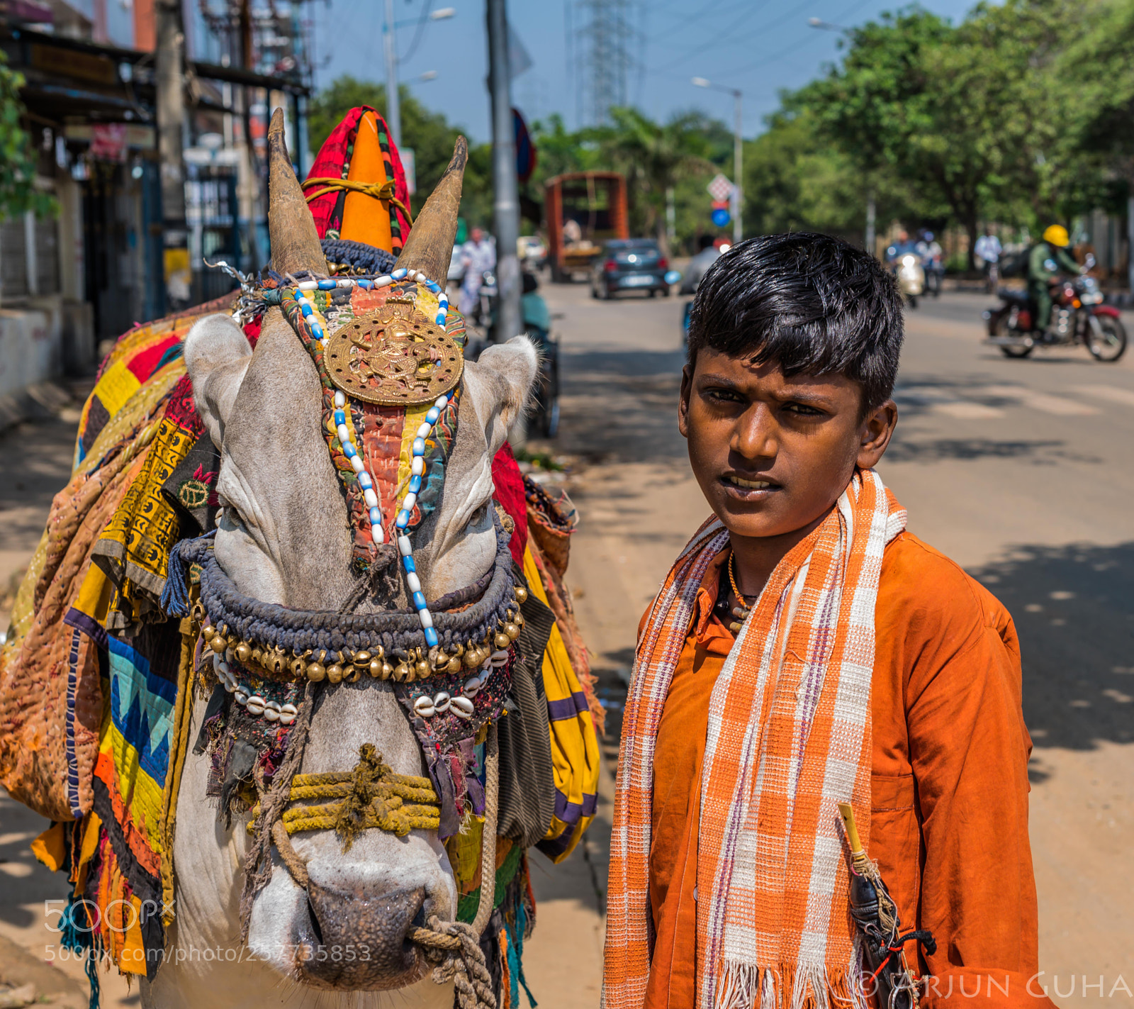 Nikon D750 sample photo. Bholanath#1.jpg photography