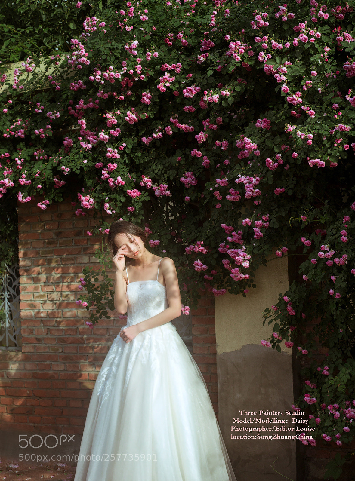 Canon EOS 6D sample photo. -花儿的孩子 photography