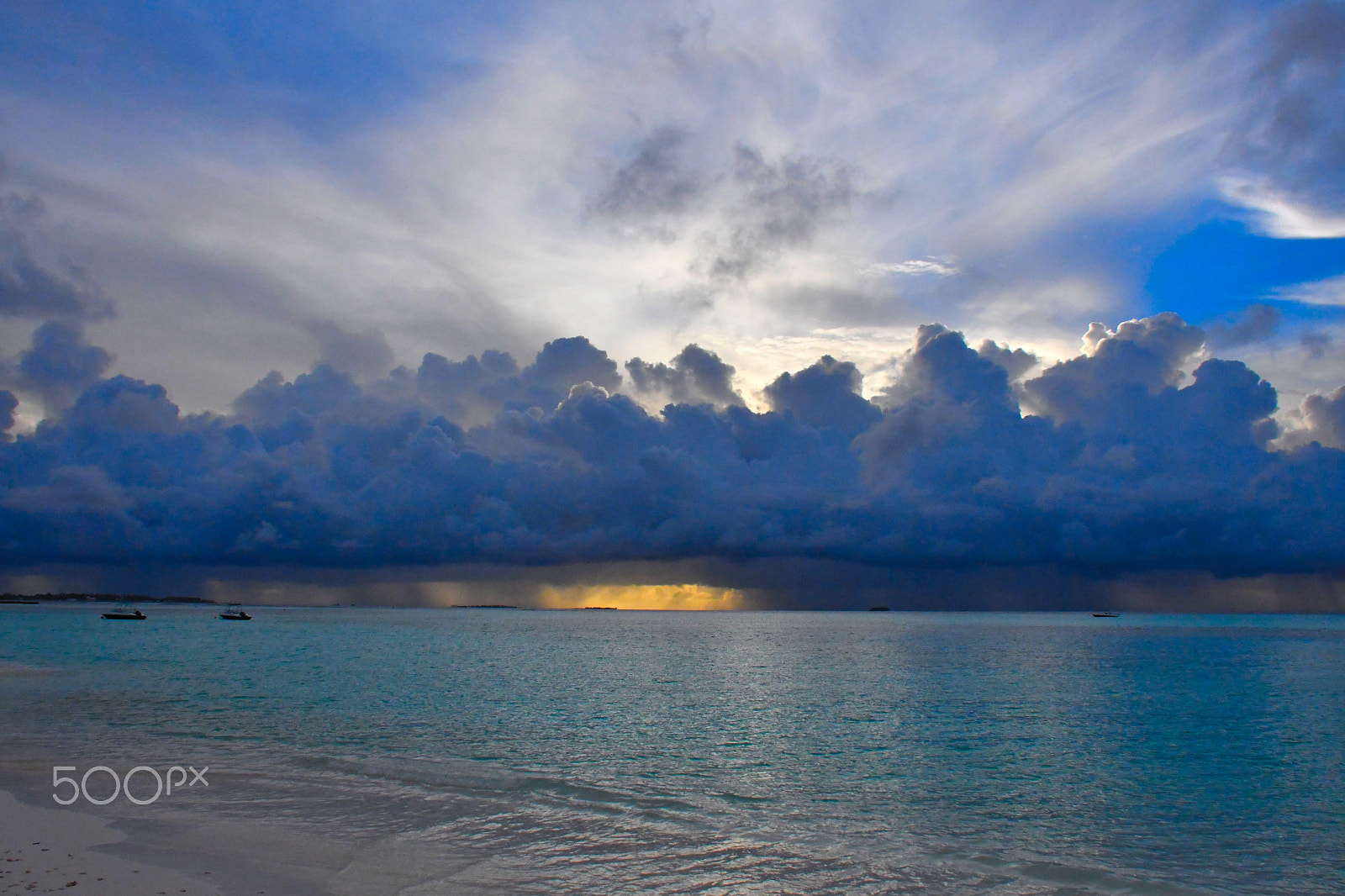 Nikon D500 sample photo. Creation photography