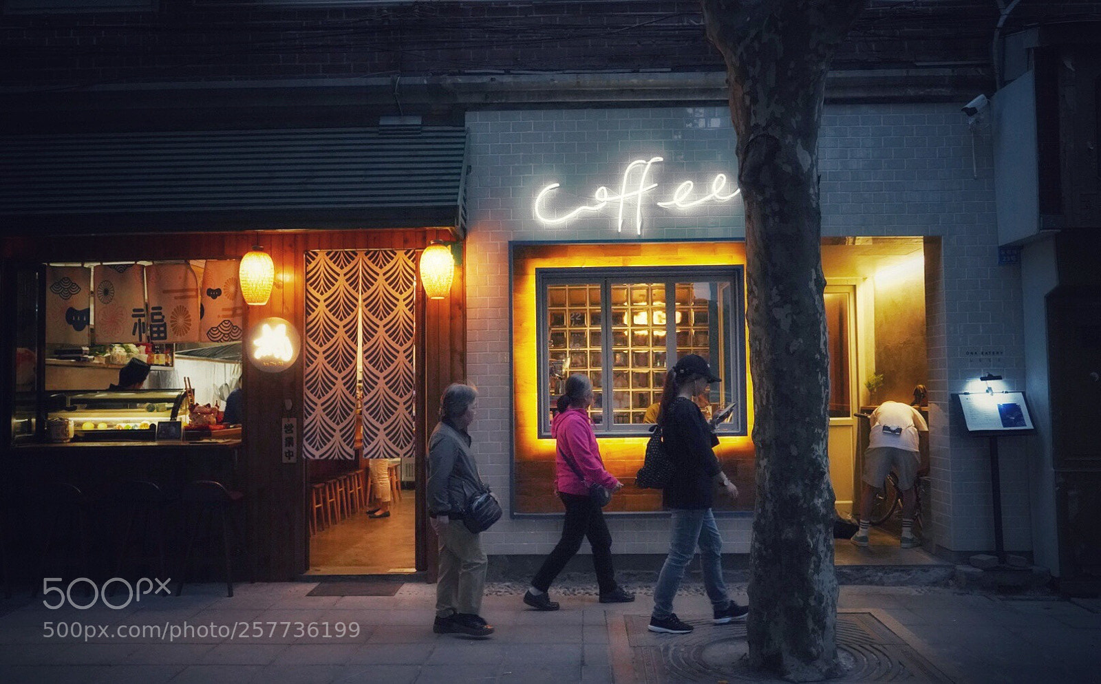 Sony a7 III sample photo. Untitled photography