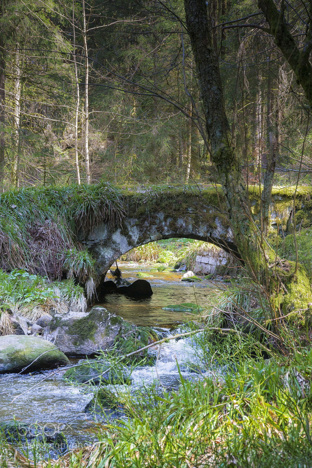 Nikon D610 sample photo. Vosges photography