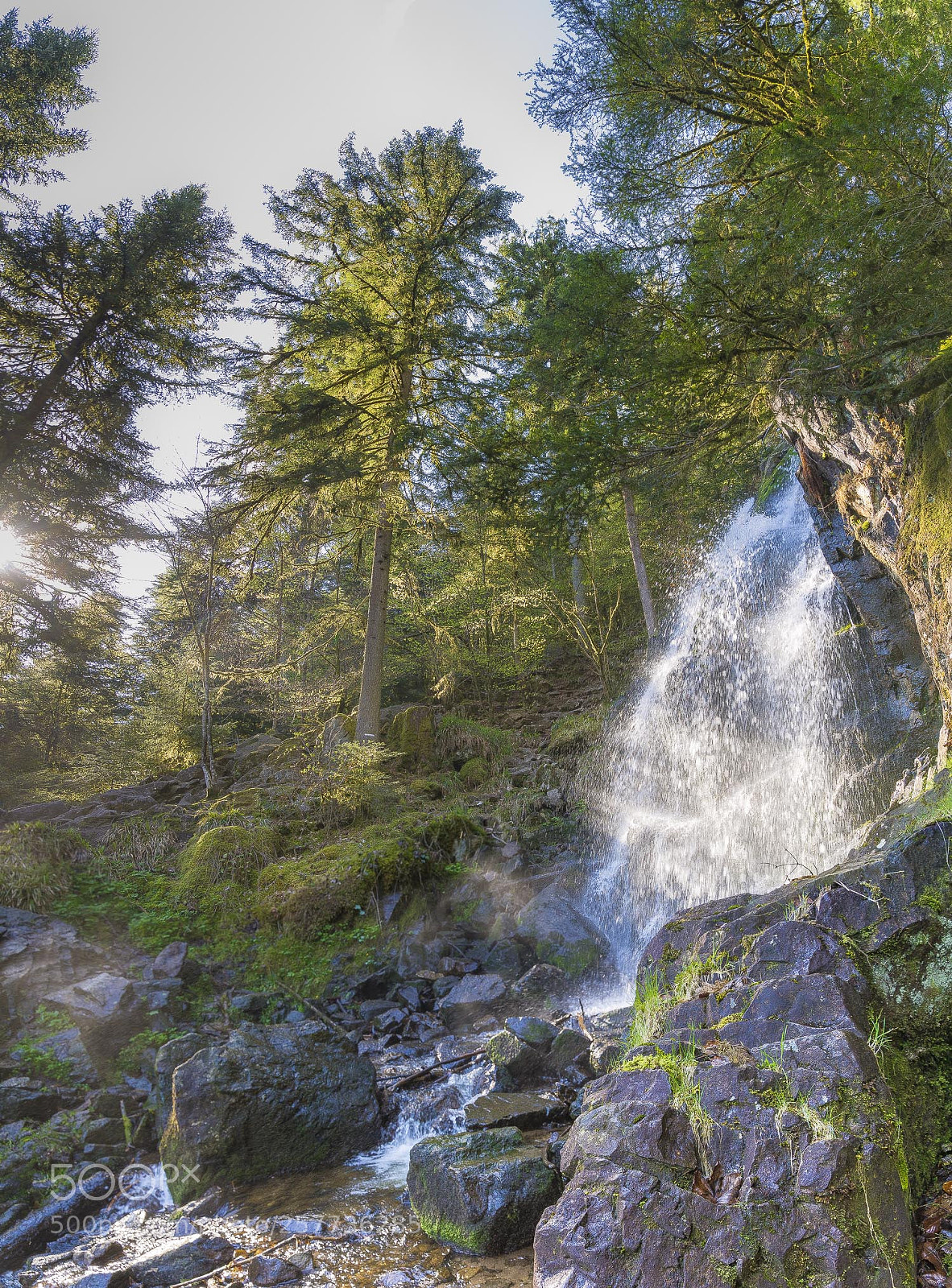 Nikon D610 sample photo. Vosges photography