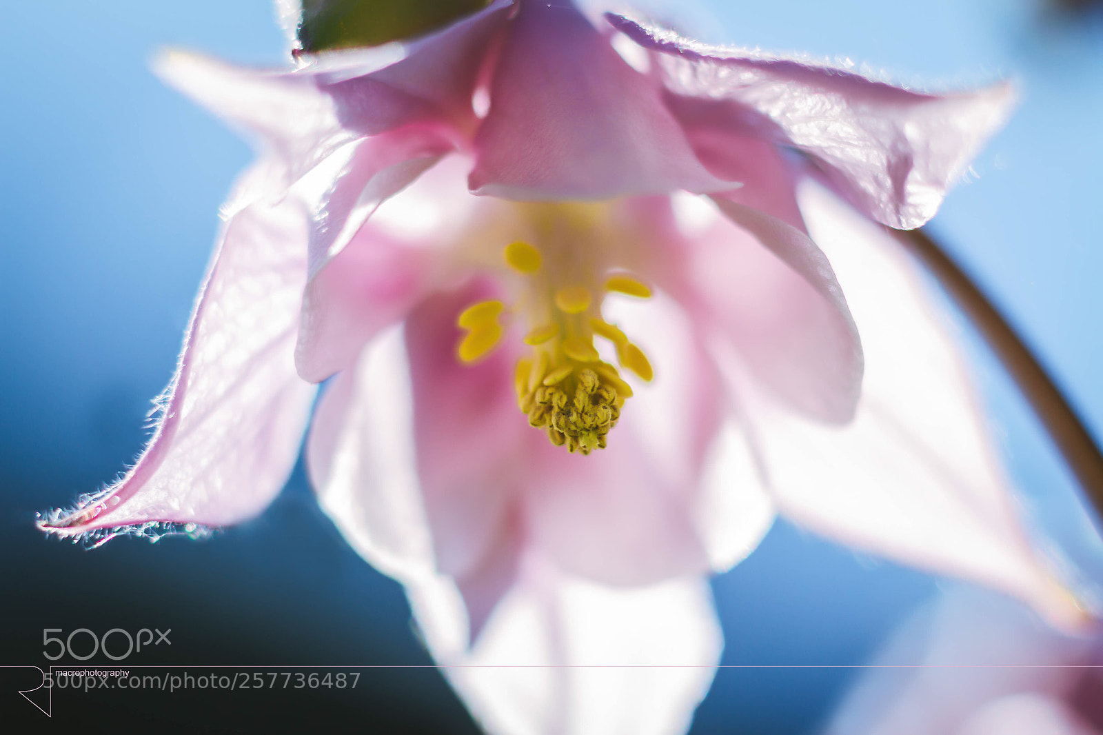 Canon EOS 7D sample photo. Summer days photography