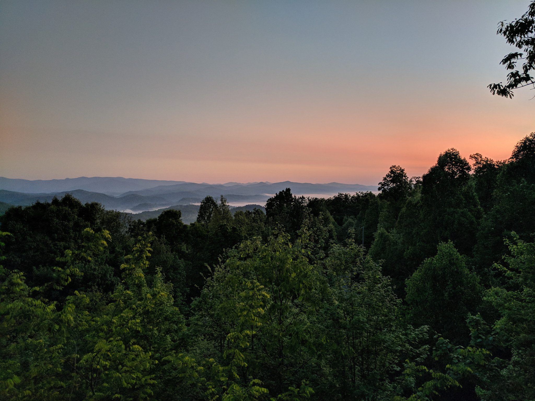 Google Pixel XL sample photo. Happy mother's day, mother nature photography