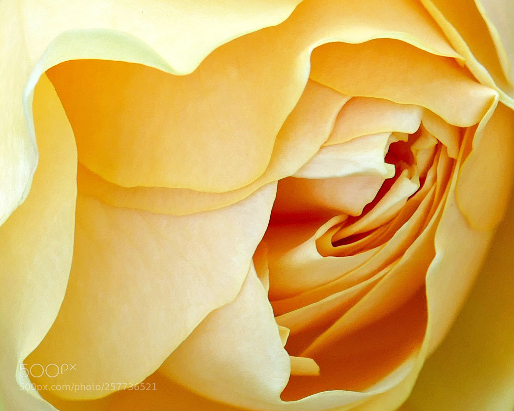Panasonic Lumix DMC-FZ1000 sample photo. Abstract photography