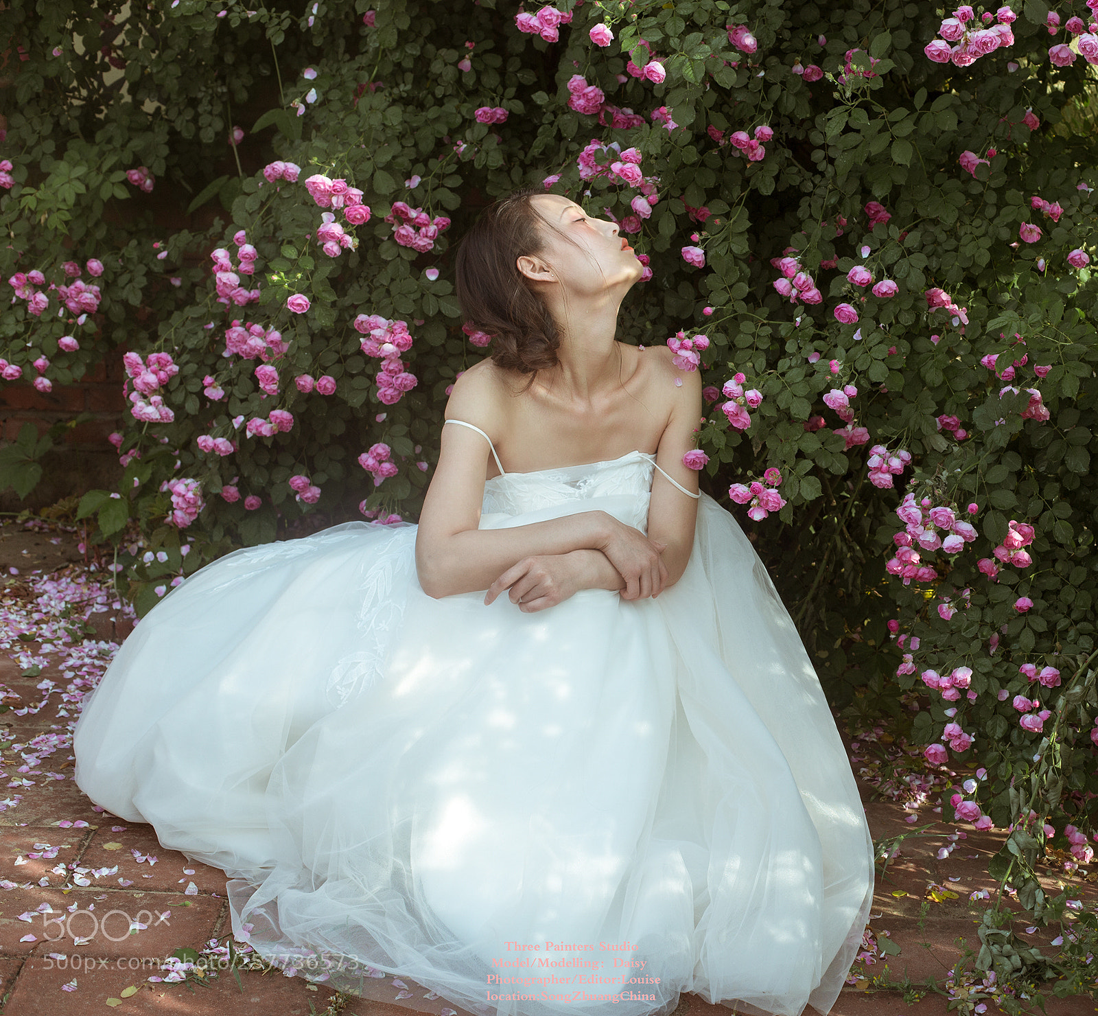 Canon EOS 6D sample photo. -花儿的孩子 photography