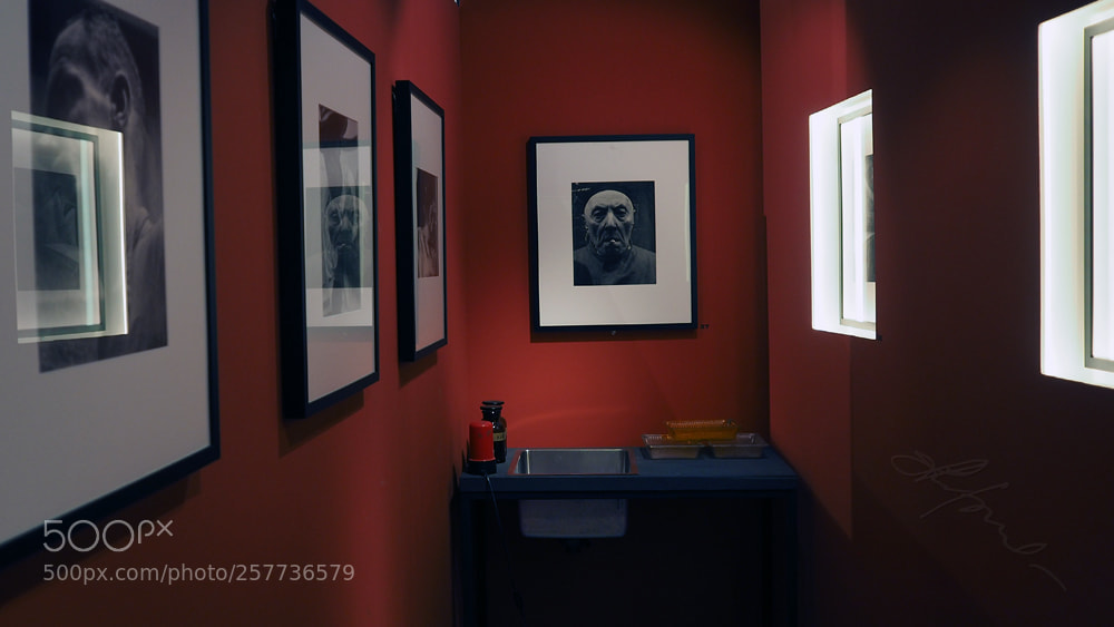 Olympus OM-D E-M5 II sample photo. In the museum photography