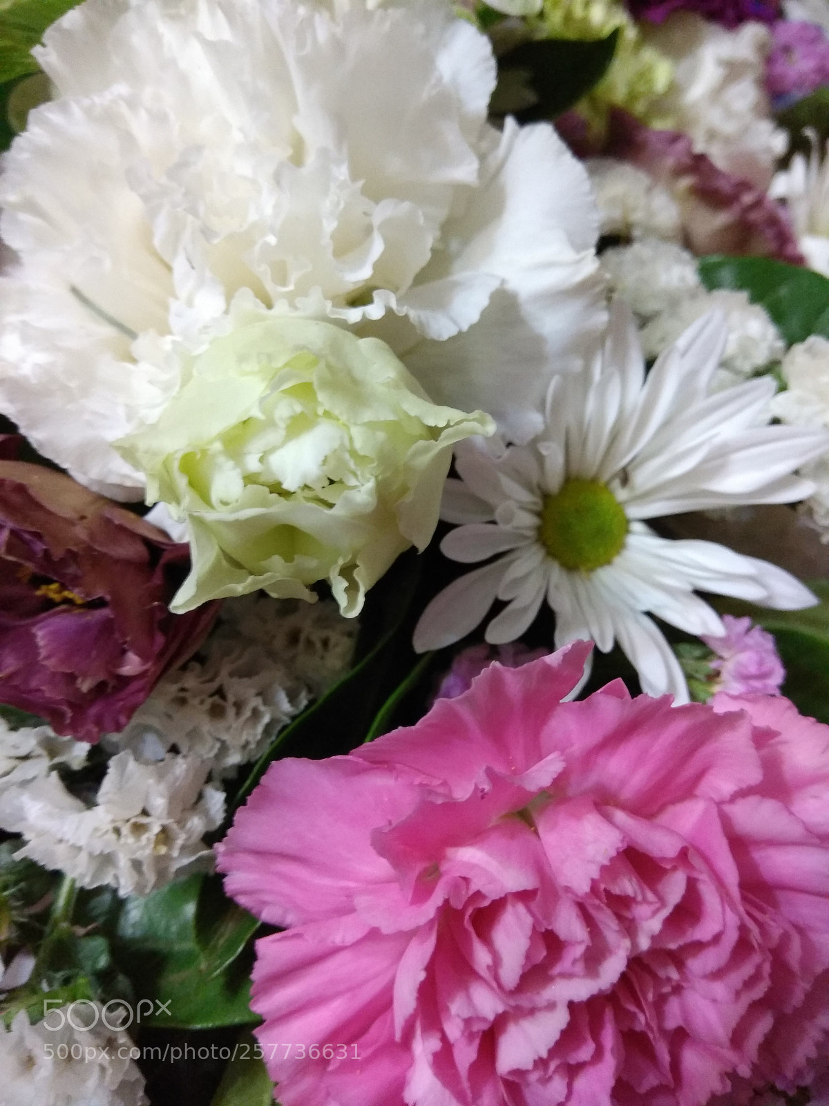 Xiaomi Redmi Note 4 sample photo. Flowers arranged photography