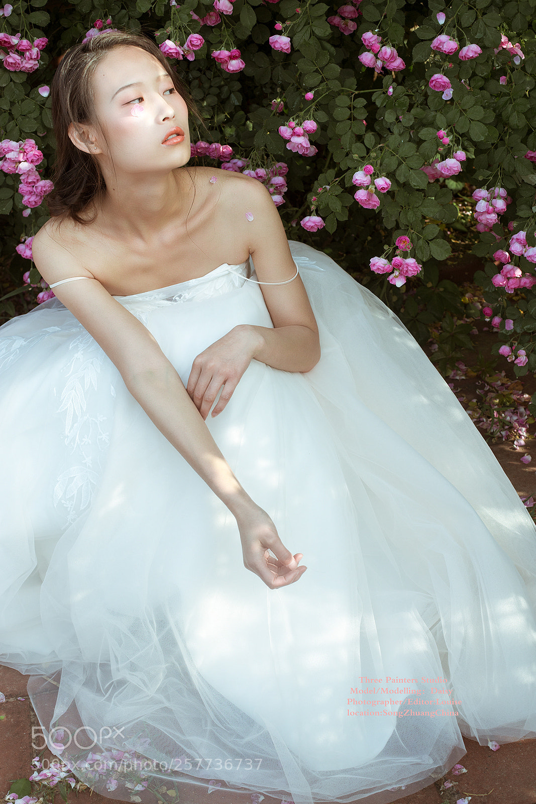 Canon EOS 6D sample photo. -花儿的孩子 photography
