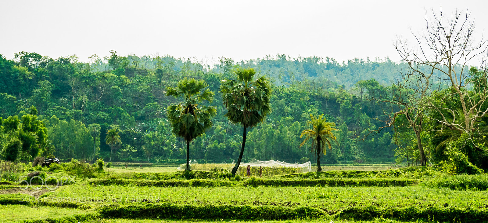 Nikon D7100 sample photo. Untitled photography