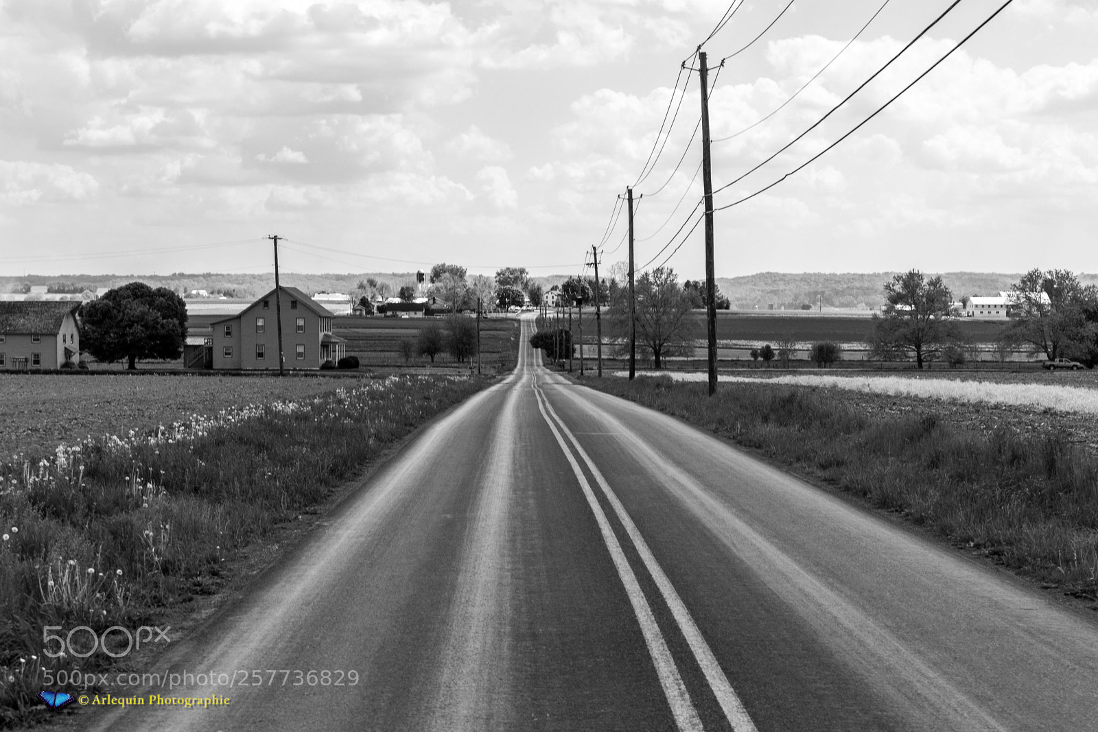 Canon EOS M50 (EOS Kiss M) sample photo. Country road in pennsylvania photography