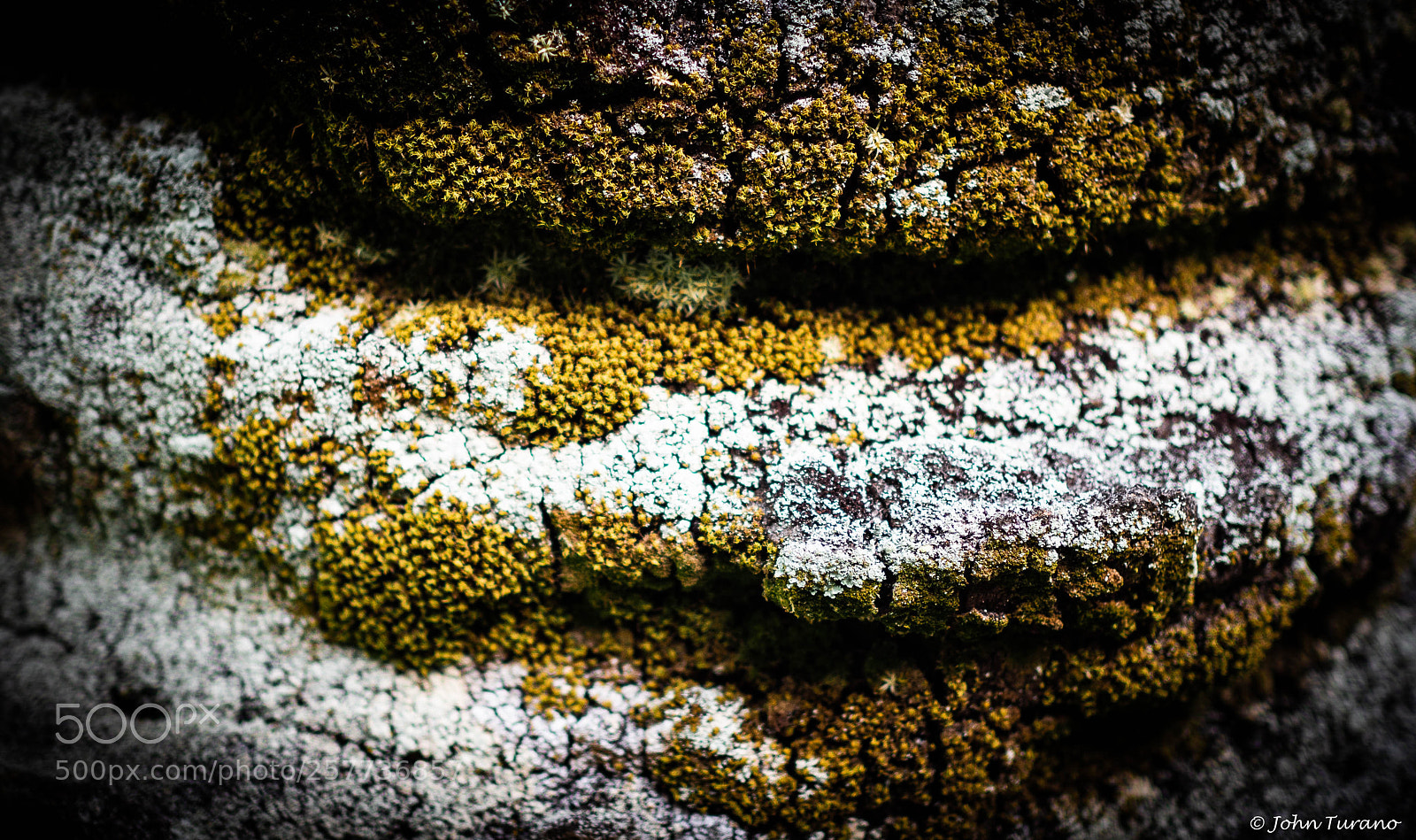 Olympus OM-D E-M10 III sample photo. Strange stuff photography