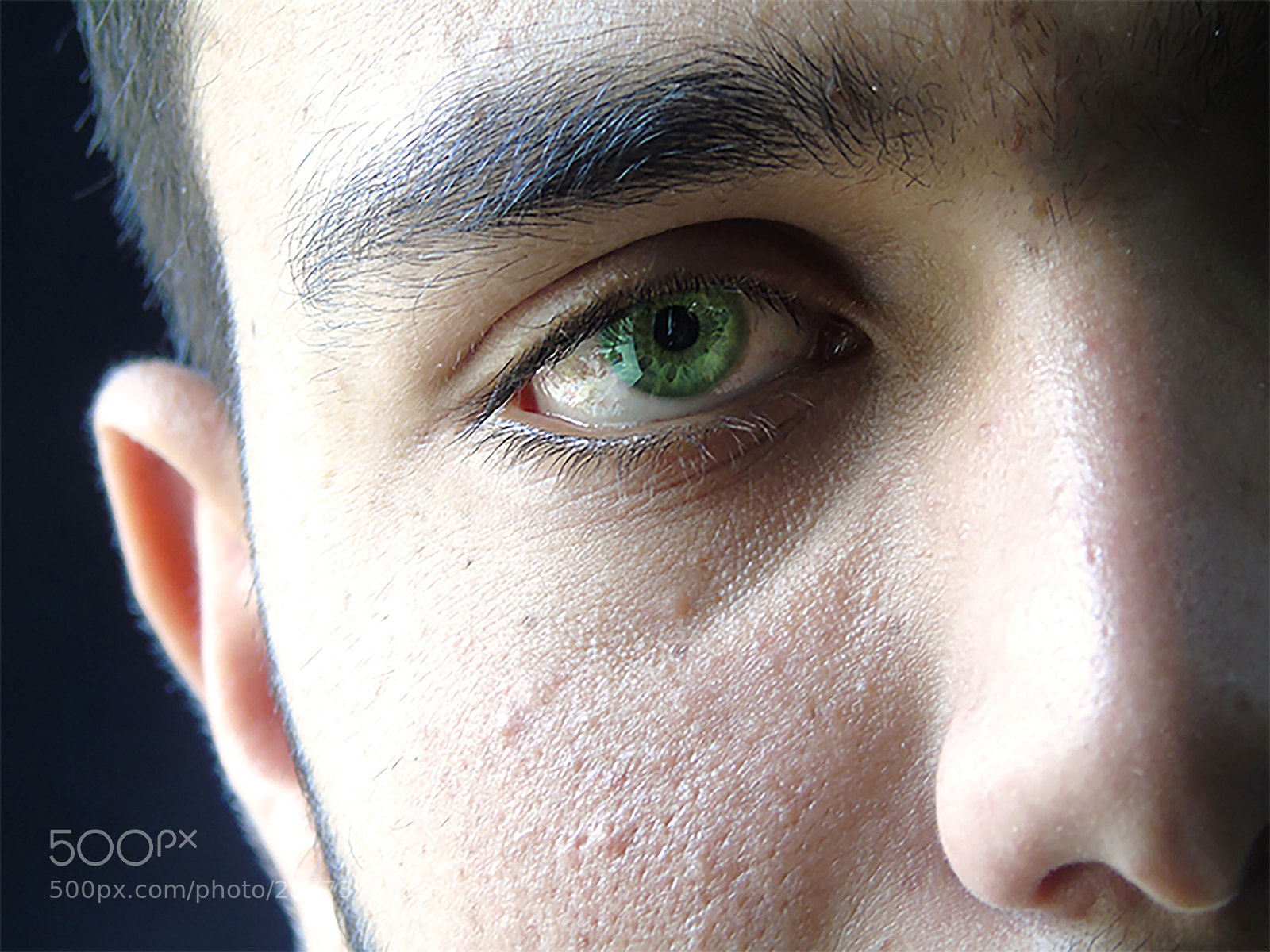 Sony Cyber-shot DSC-H400 sample photo. Green life photography
