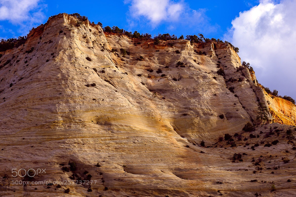 Fujifilm X-T2 sample photo. Upper zion 3 photography