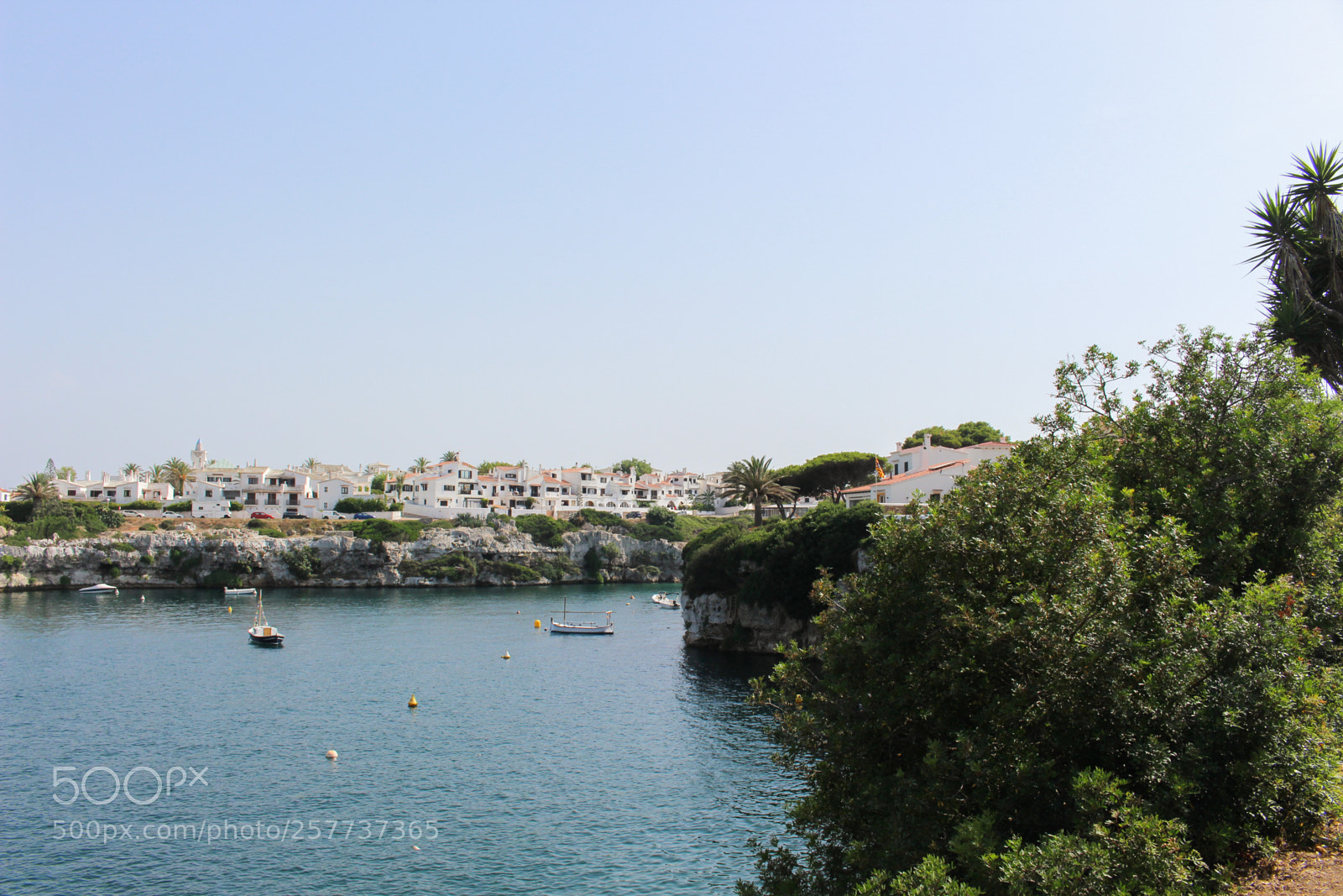 Canon EOS 700D (EOS Rebel T5i / EOS Kiss X7i) sample photo. Img photography