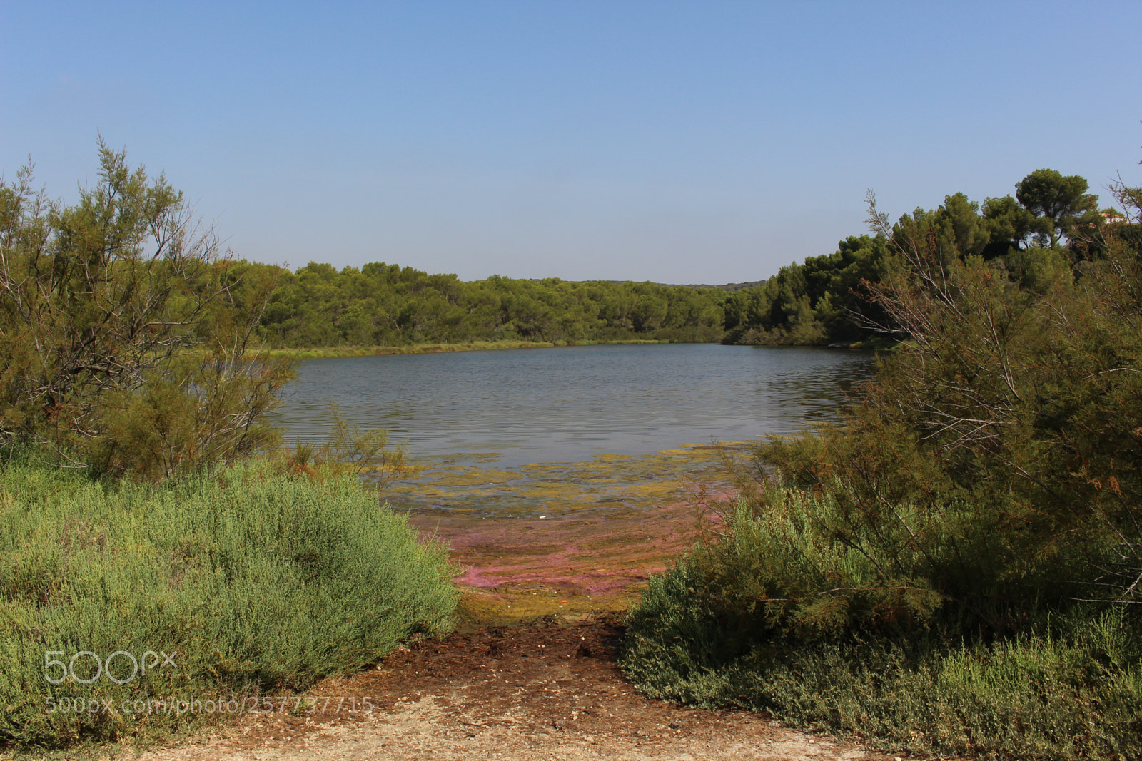 Canon EOS 700D (EOS Rebel T5i / EOS Kiss X7i) sample photo. Img photography