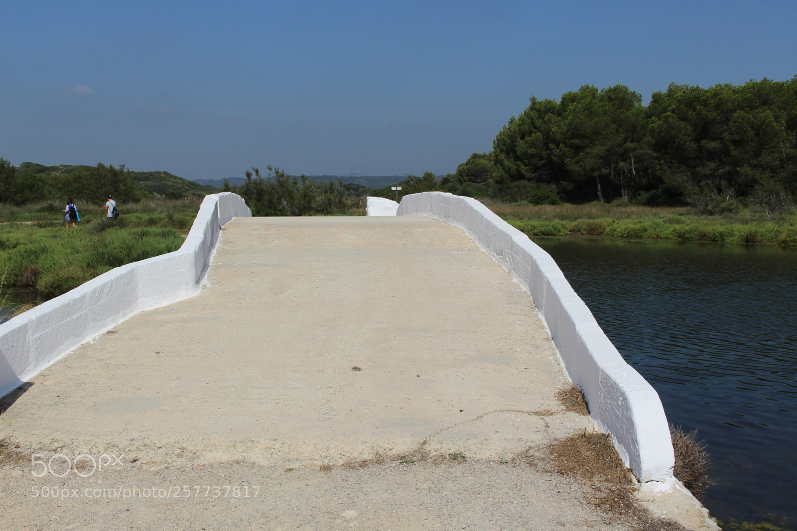 Canon EOS 700D (EOS Rebel T5i / EOS Kiss X7i) sample photo. Img photography