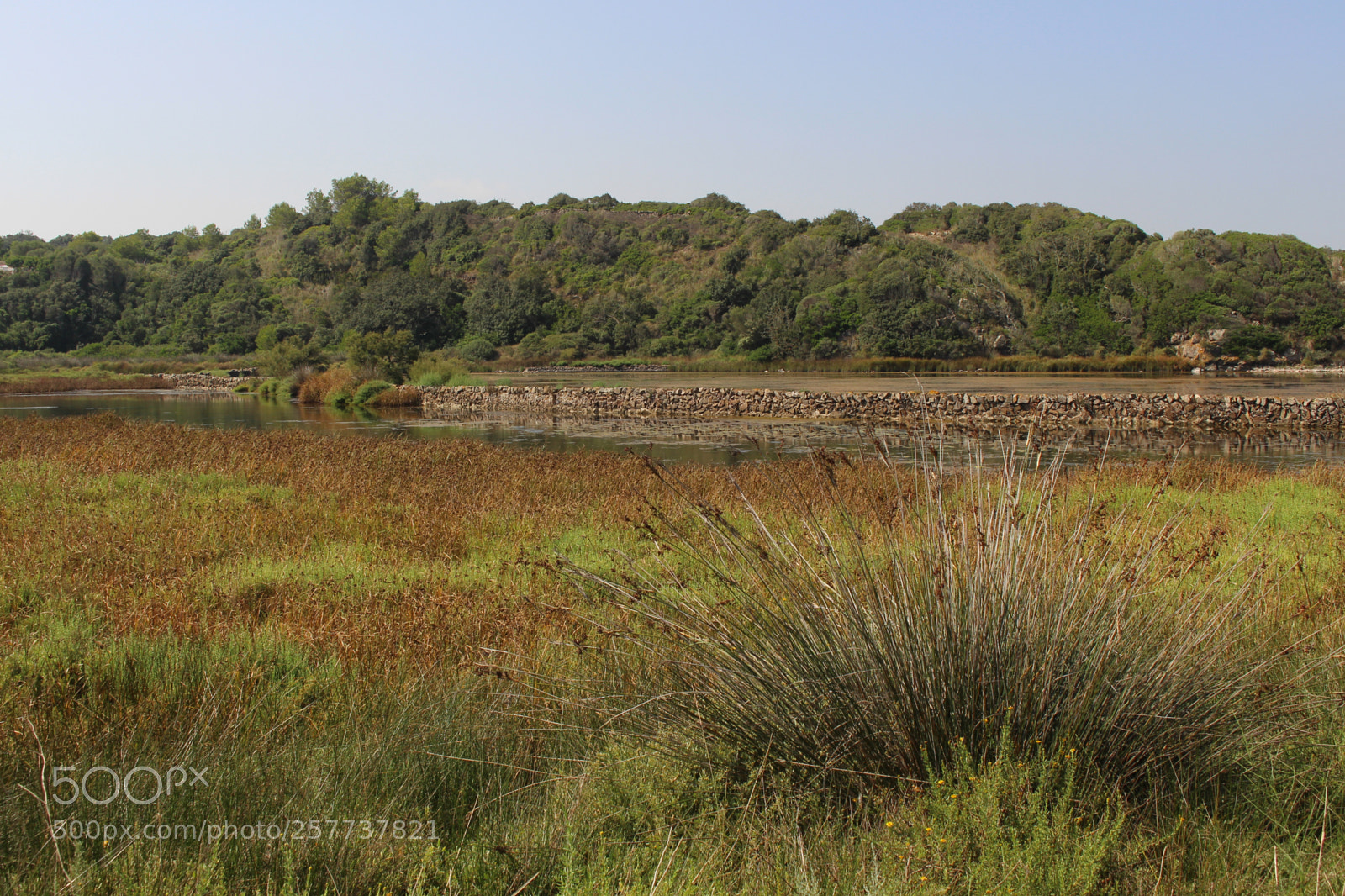 Canon EOS 700D (EOS Rebel T5i / EOS Kiss X7i) sample photo. Img photography