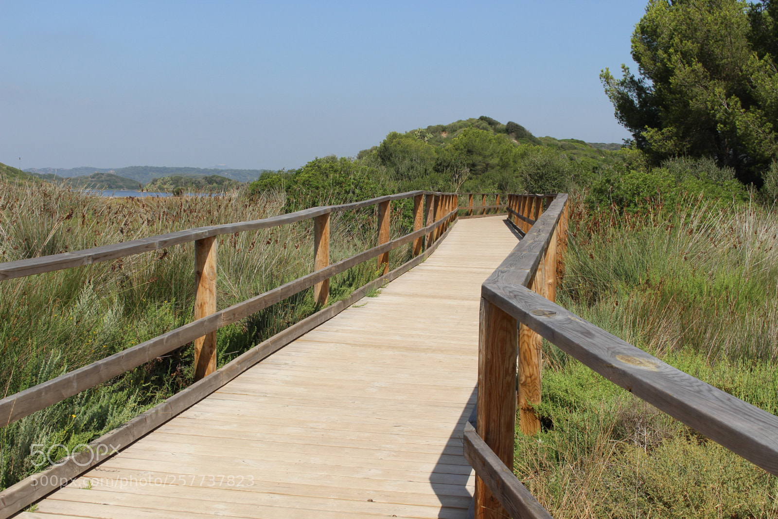 Canon EOS 700D (EOS Rebel T5i / EOS Kiss X7i) sample photo. Img photography