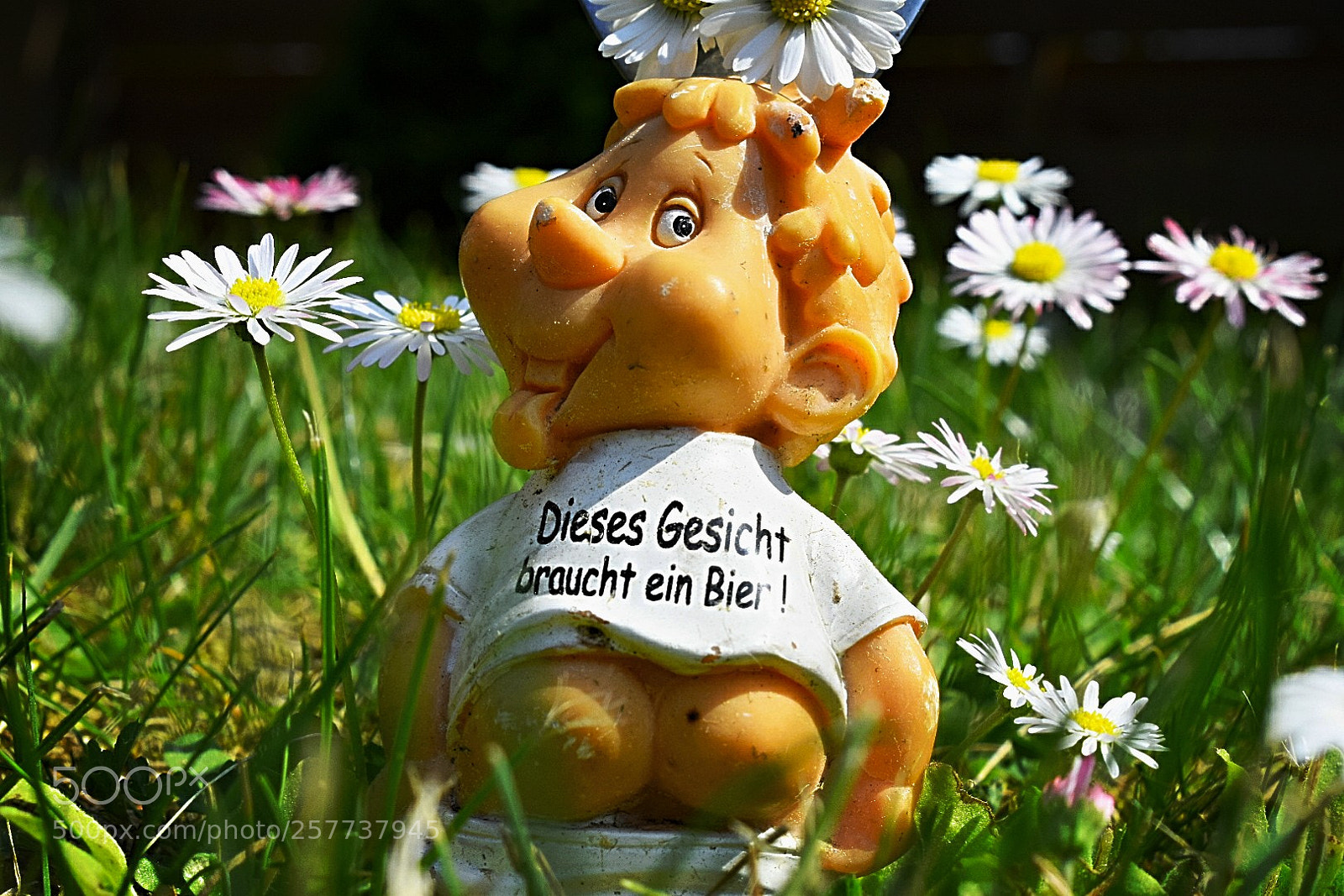 Nikon D5300 sample photo. Auf der wiese stehen photography