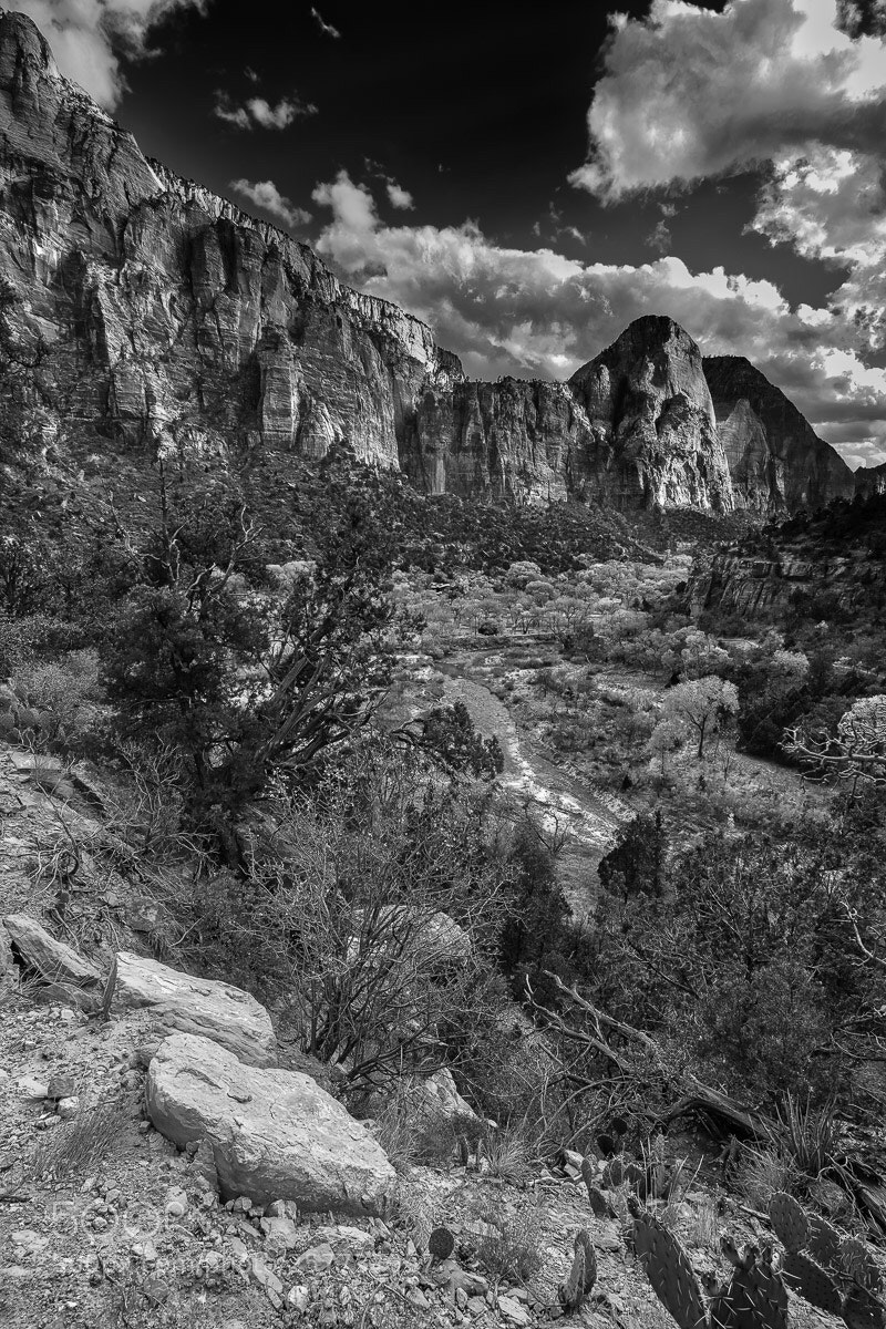 Fujifilm X-T2 sample photo. Downcanyon photography