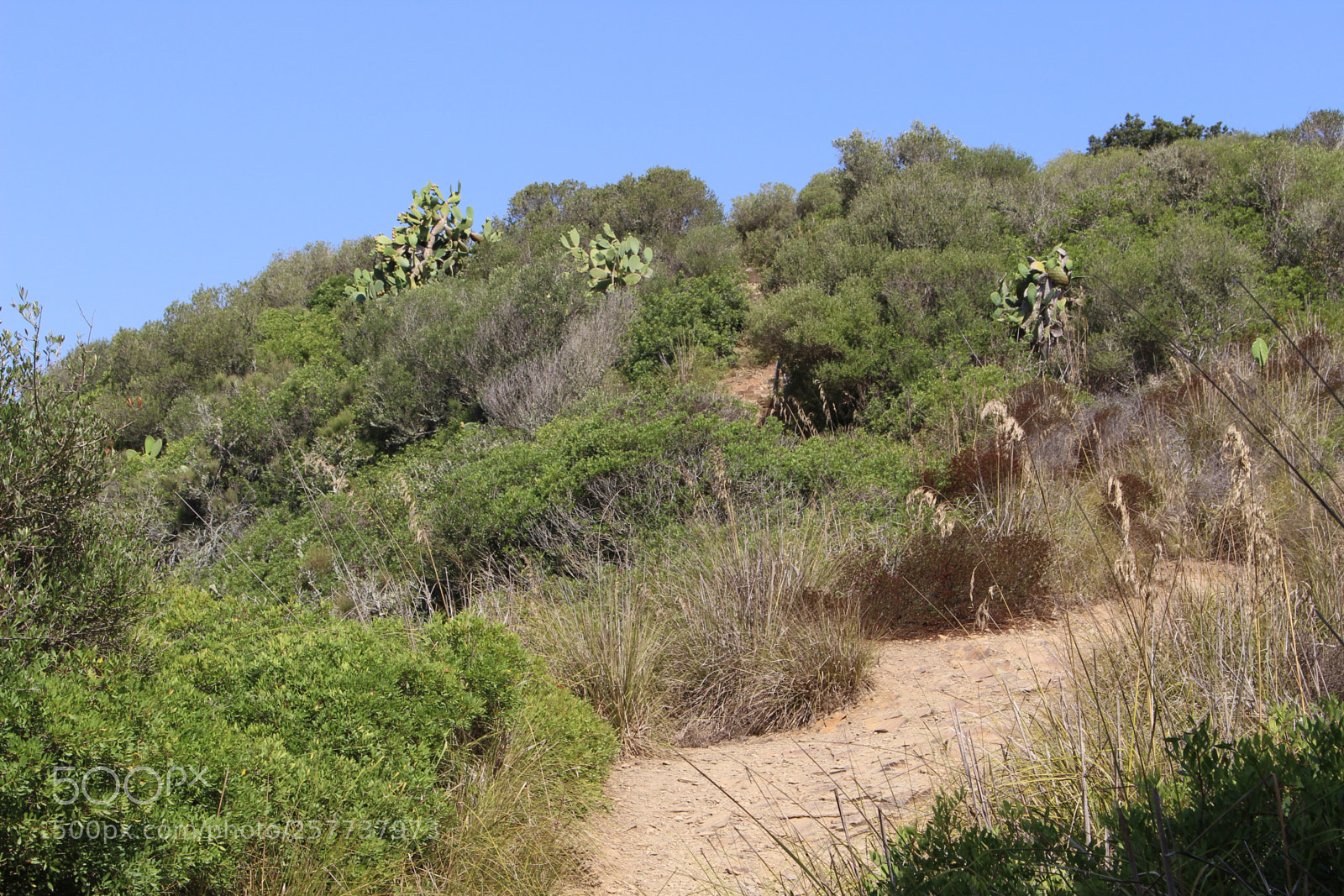 Canon EOS 700D (EOS Rebel T5i / EOS Kiss X7i) sample photo. Img photography