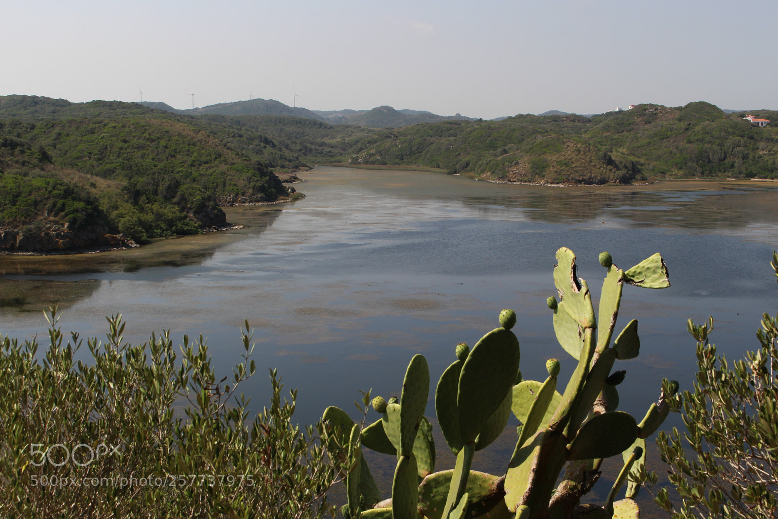 Canon EOS 700D (EOS Rebel T5i / EOS Kiss X7i) sample photo. Img photography