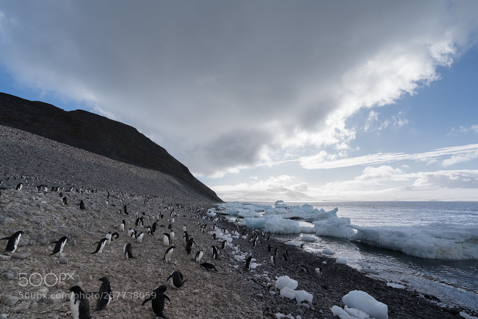 Sony a7R II sample photo. 
paulet island  photography