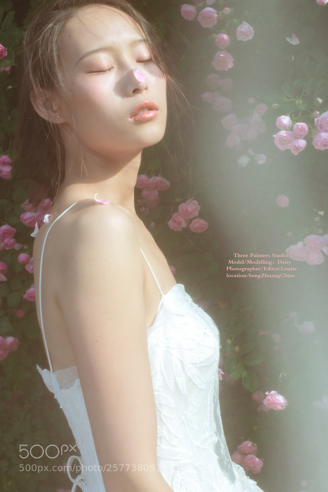 Canon EOS 6D sample photo. -花儿的孩子 photography
