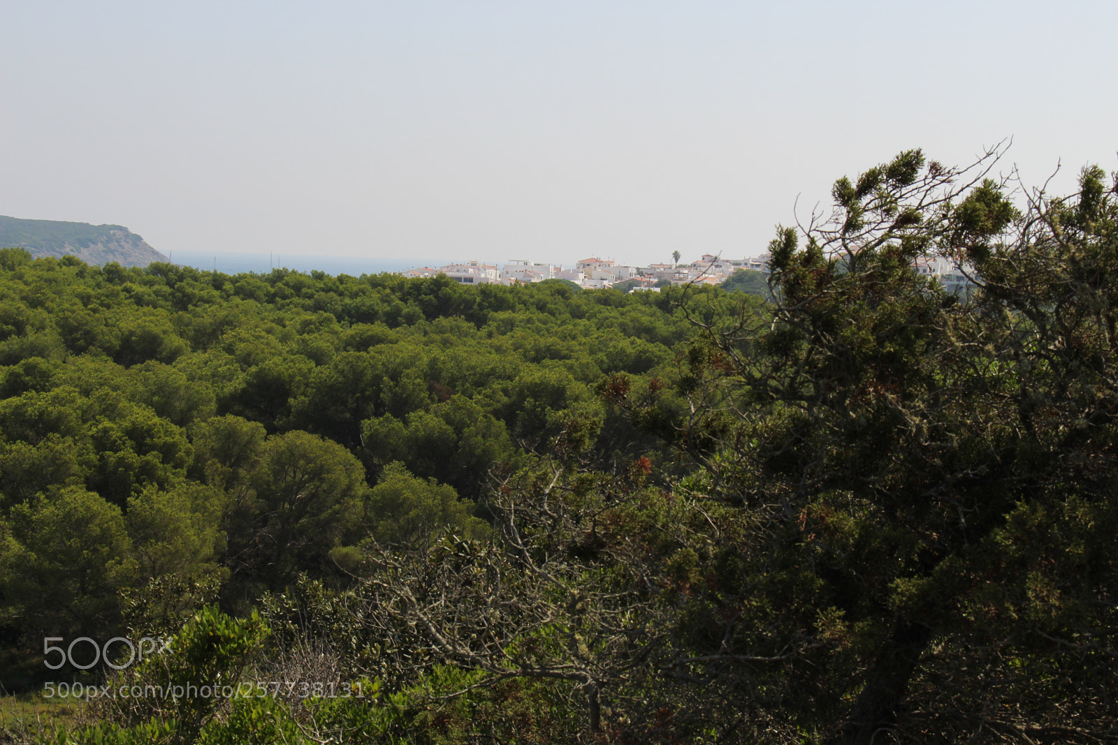 Canon EOS 700D (EOS Rebel T5i / EOS Kiss X7i) sample photo. Img photography