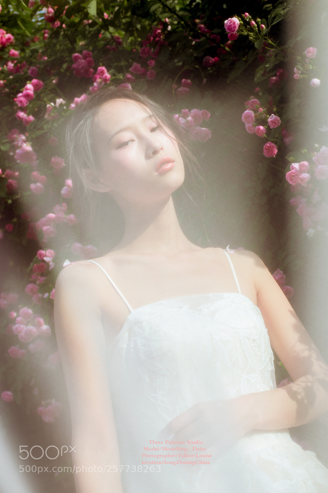 Canon EOS 6D sample photo. -花儿的孩子 photography