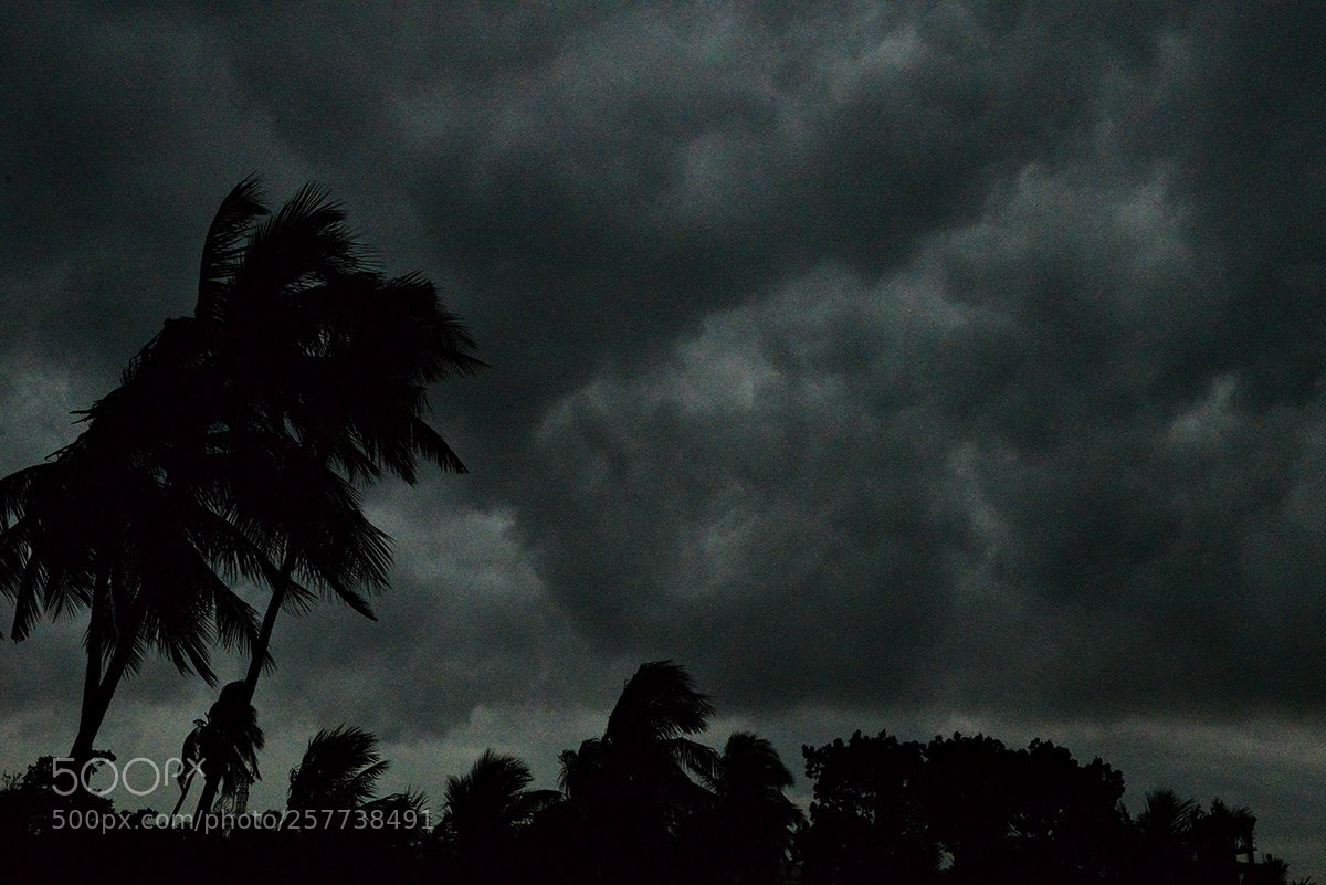 Nikon D610 sample photo. Dark skies in a photography