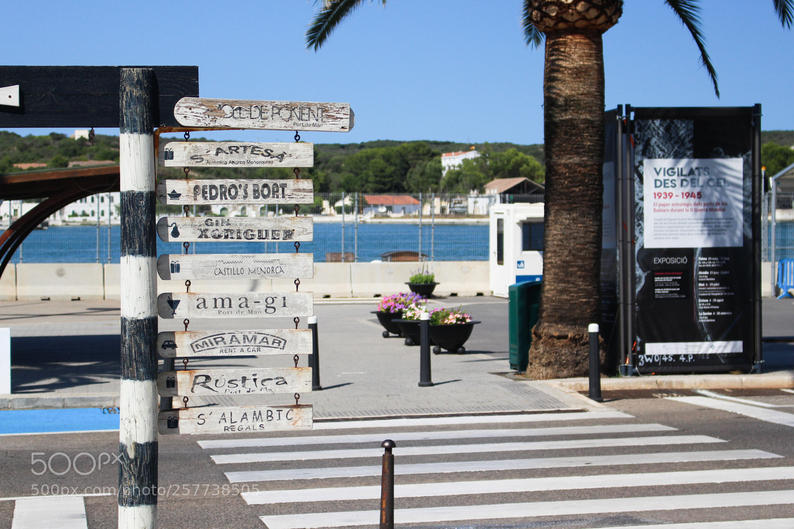 Canon EOS 700D (EOS Rebel T5i / EOS Kiss X7i) sample photo. Img photography