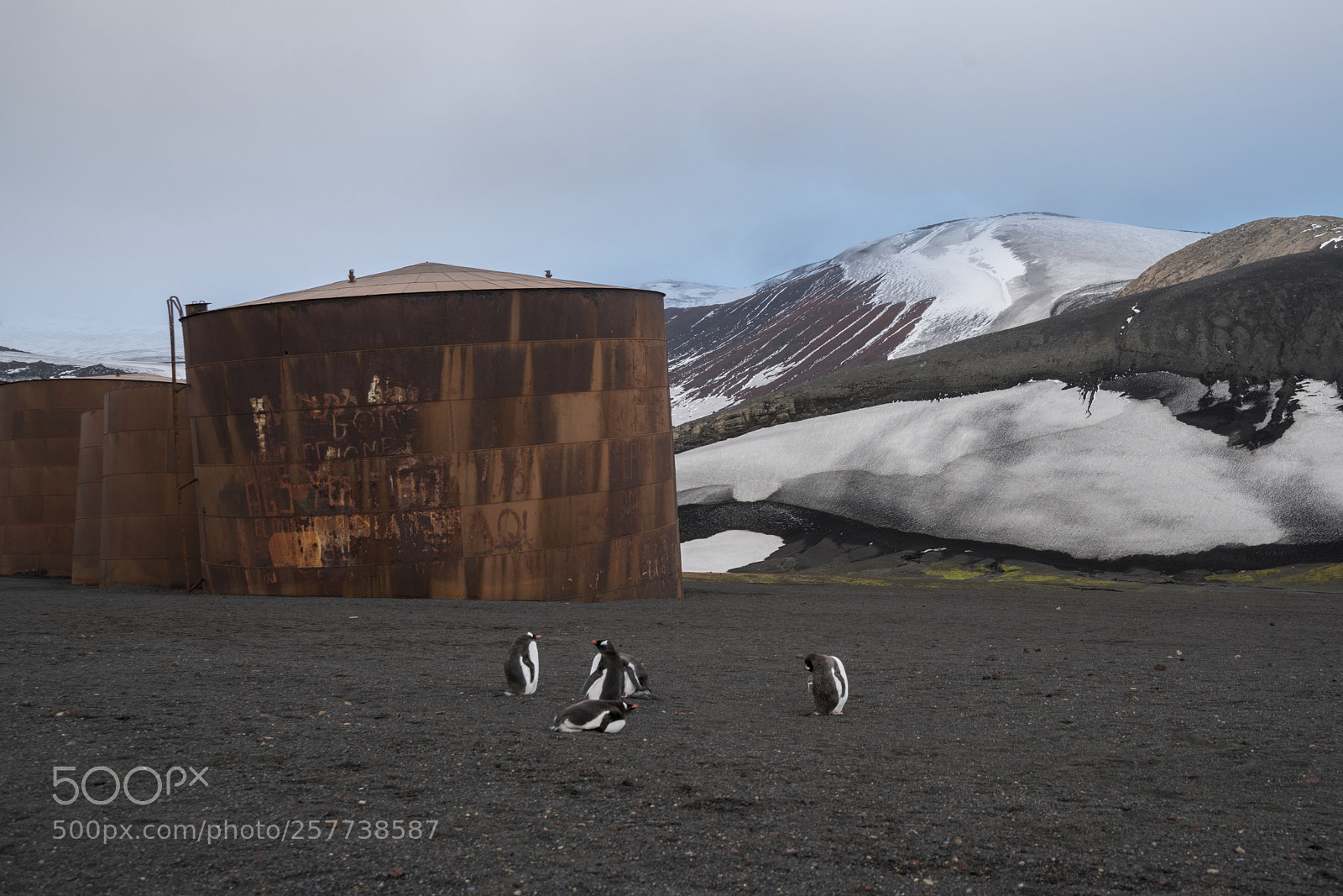 Sony a7R II sample photo. Deception island photography