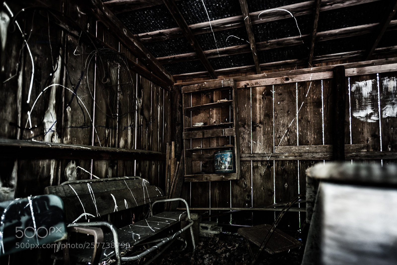Nikon D750 sample photo. Vandalized beauty photography