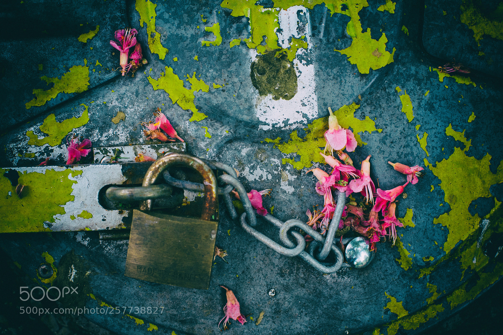 Nikon D750 sample photo. Trashcontainer still life in photography