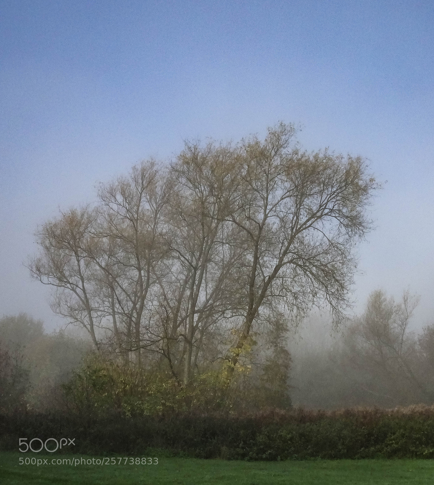 Sony Cyber-shot DSC-HX90V sample photo. Misty sunday morning photography