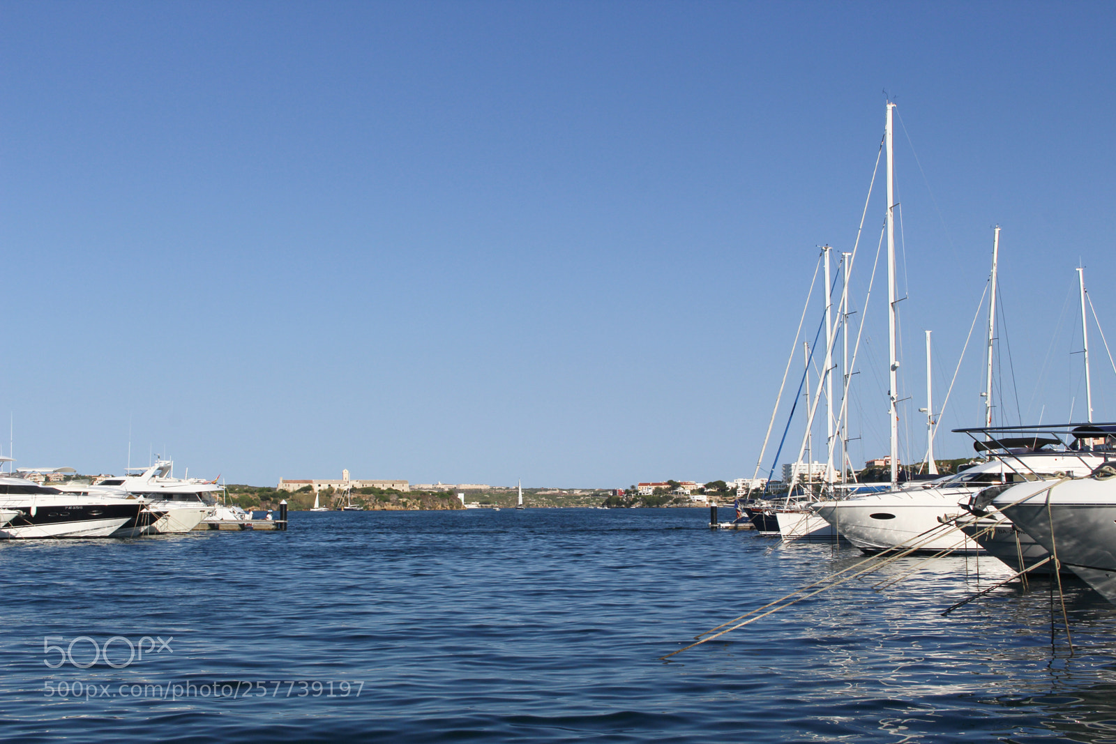 Canon EOS 700D (EOS Rebel T5i / EOS Kiss X7i) sample photo. Img photography